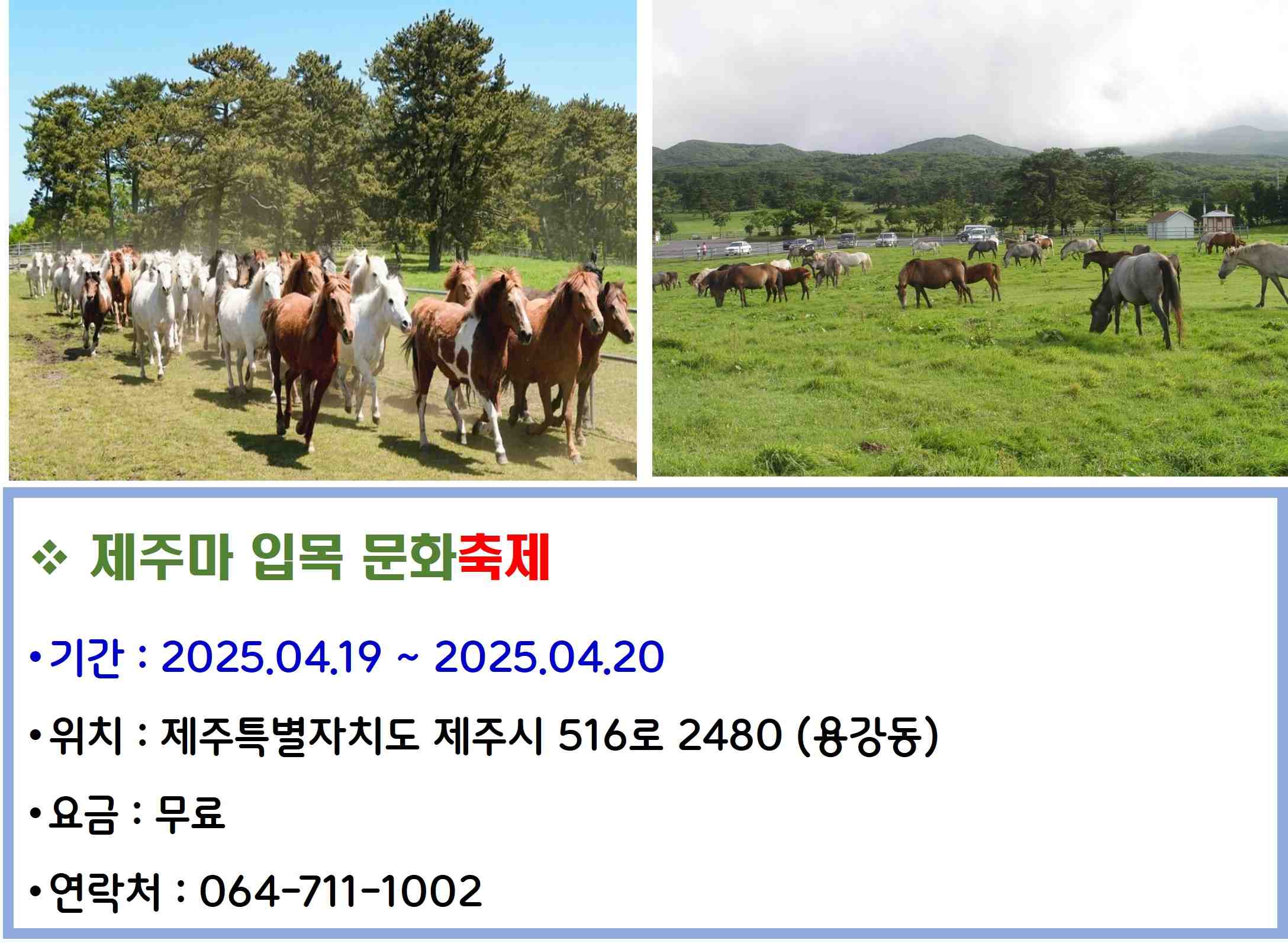 제주마 입목 문화축제