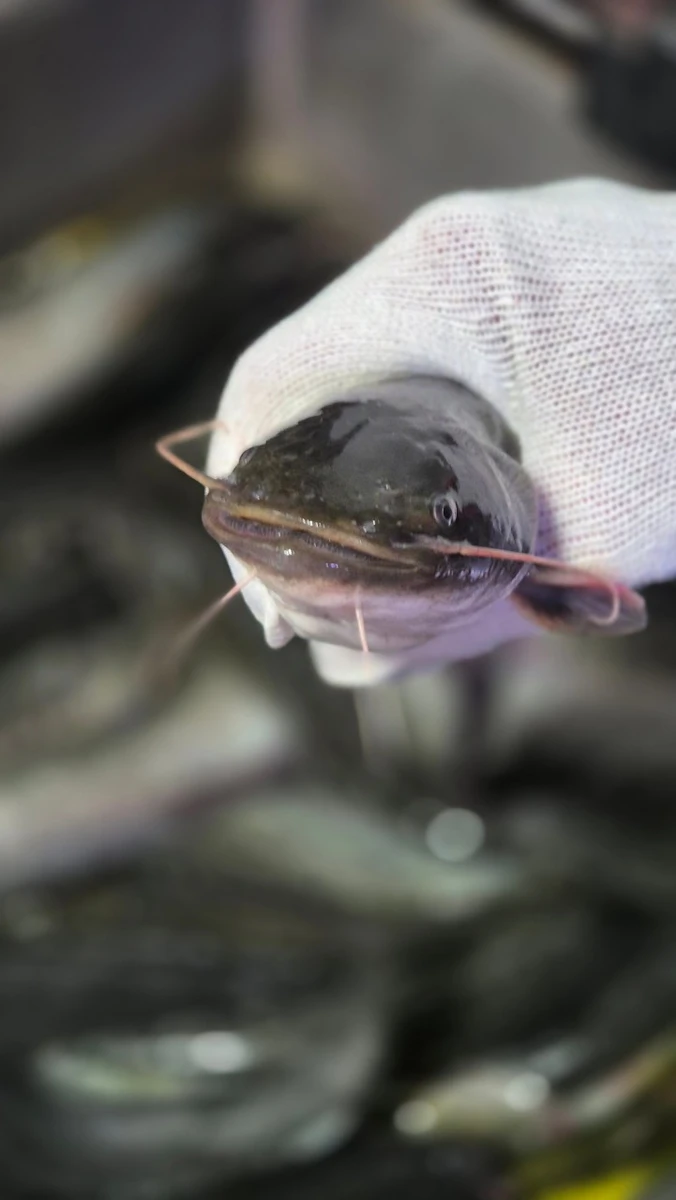 능곡송천매운탕