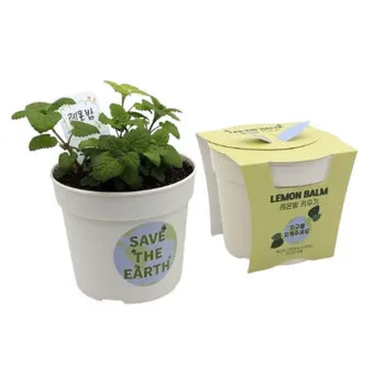 레몬밤 재배 반그늘 배치 화분 재배 잎 차로 활용_10