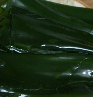 다시마 효능 부작용 칼로리
