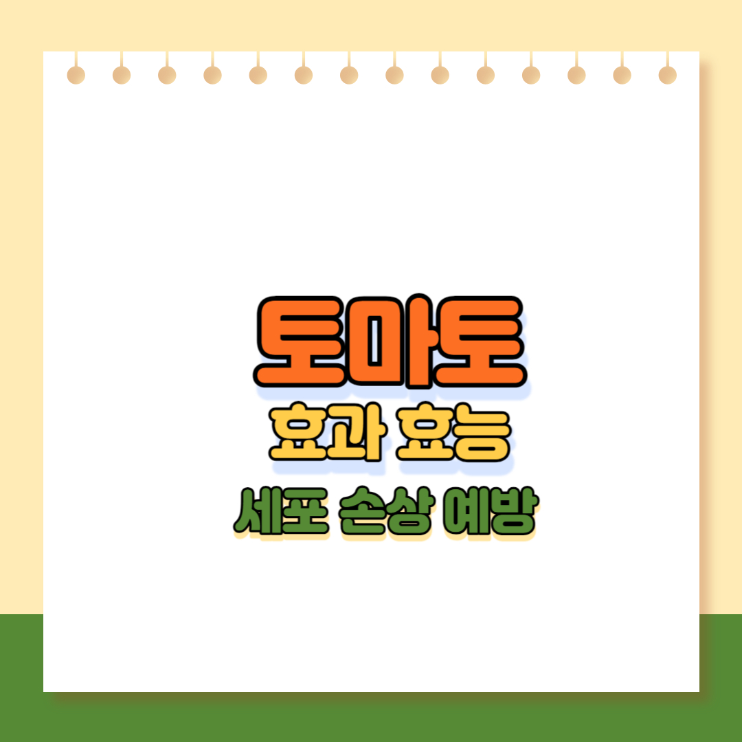 토마토 효과효능