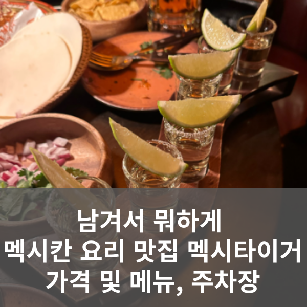 남겨서 뭐하게 멕시칸 요리 맛집 멕시타이거