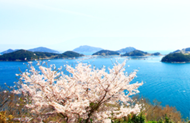 통영 수산과학관