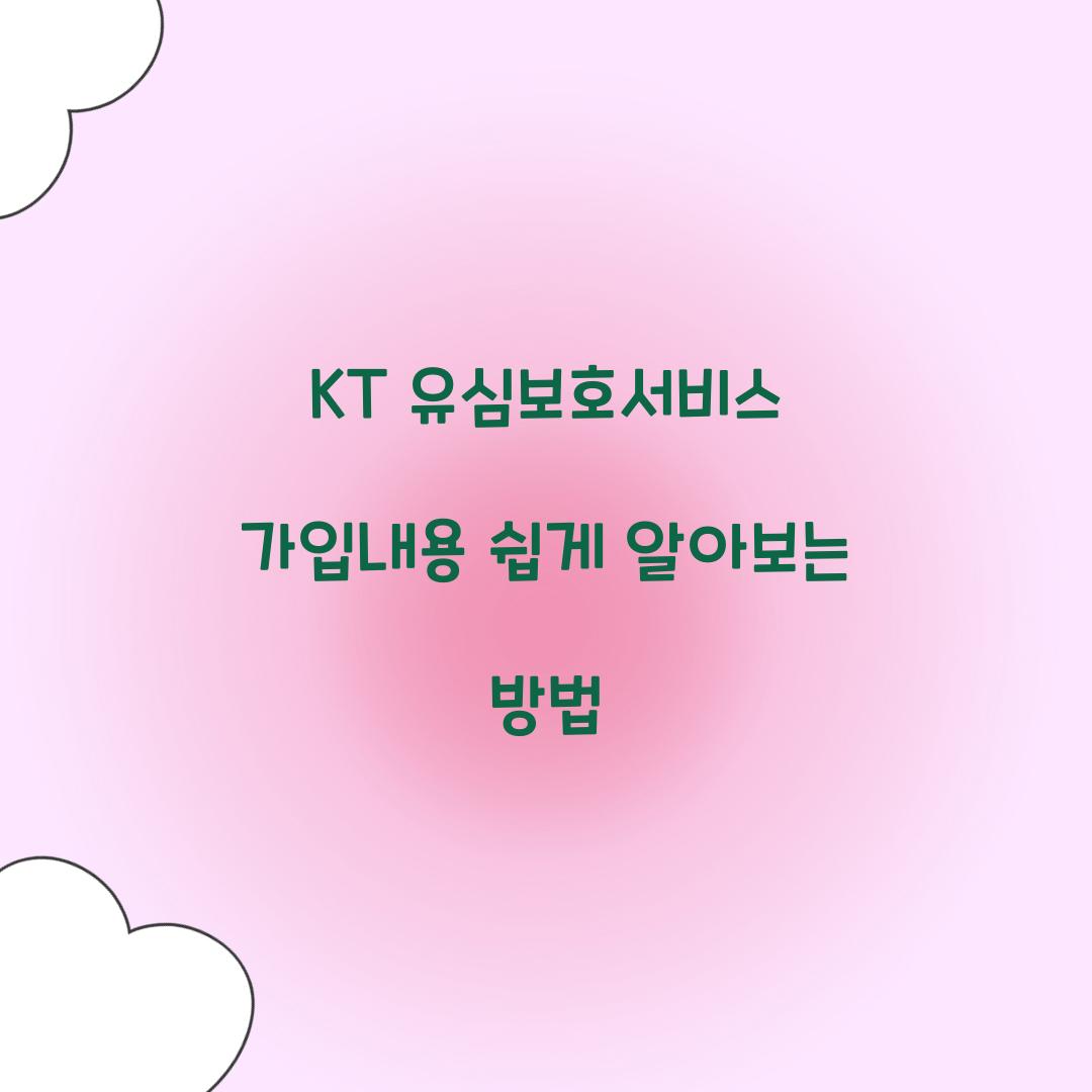 kt 유심보호서비스 가입내용
