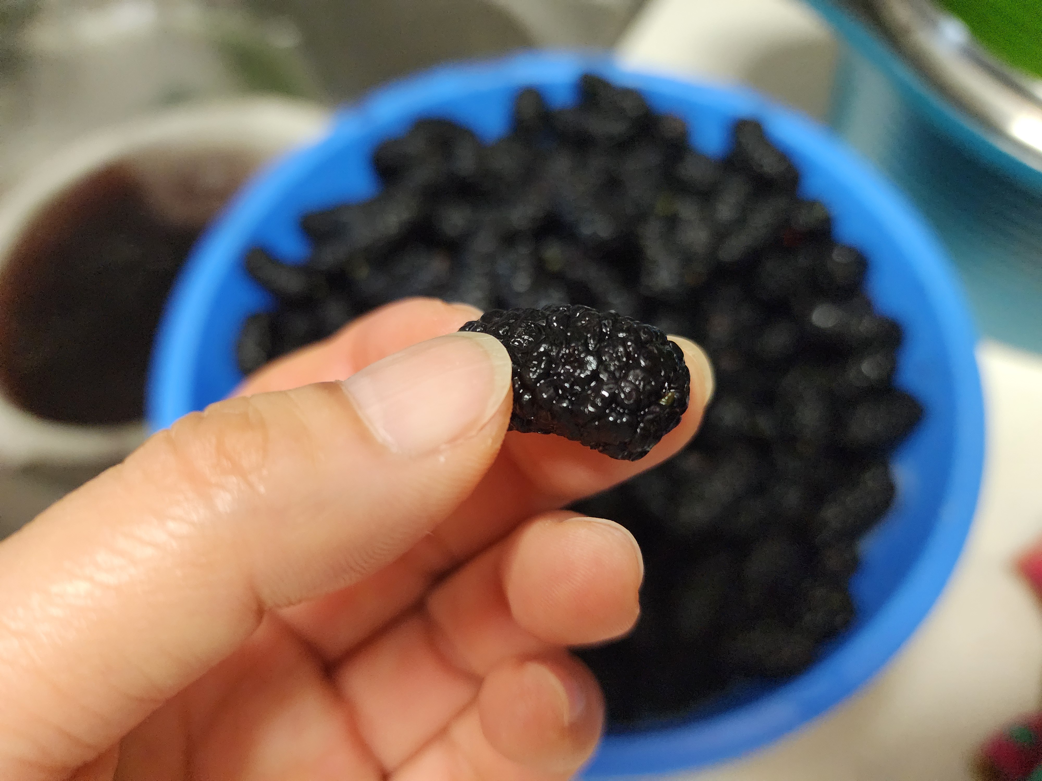 오디잼 만드는 방법&amp;#44; 제철 오디쨈 만들기