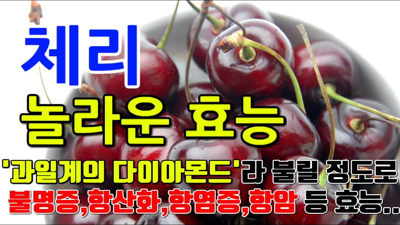 gg_체리 효능_6