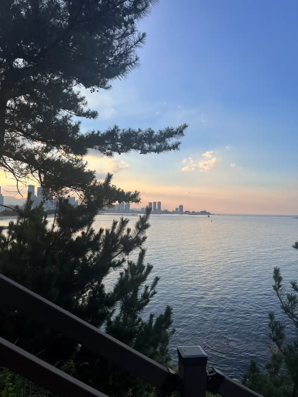 속초_롯데_호텔_해변_산책로