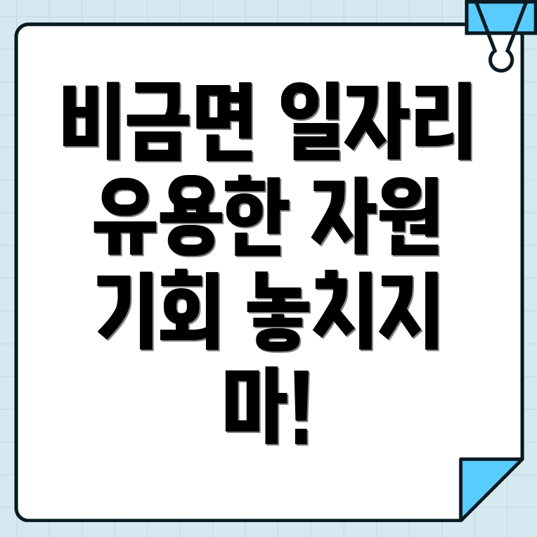 신안군 비금면 일자리