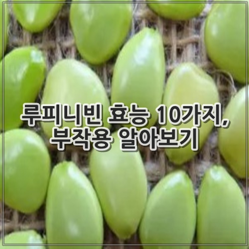 루피니빈 효능 10가지, 부작용 알아보기