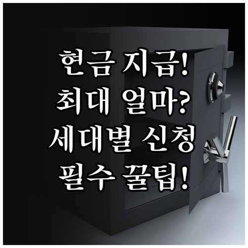 2025 민생회복 소비쿠폰 현금 지급..