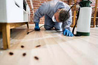 바퀴벌레 없애는 방법