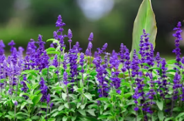 어린이날 축제 BEST 5, 국내여행지 추천