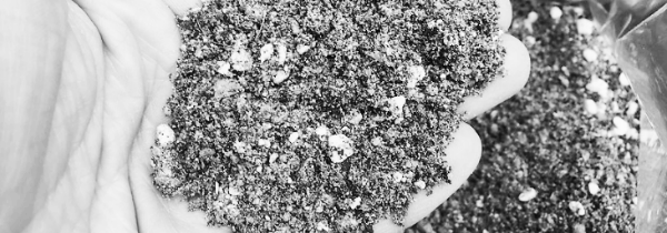 다육이 흙 선택