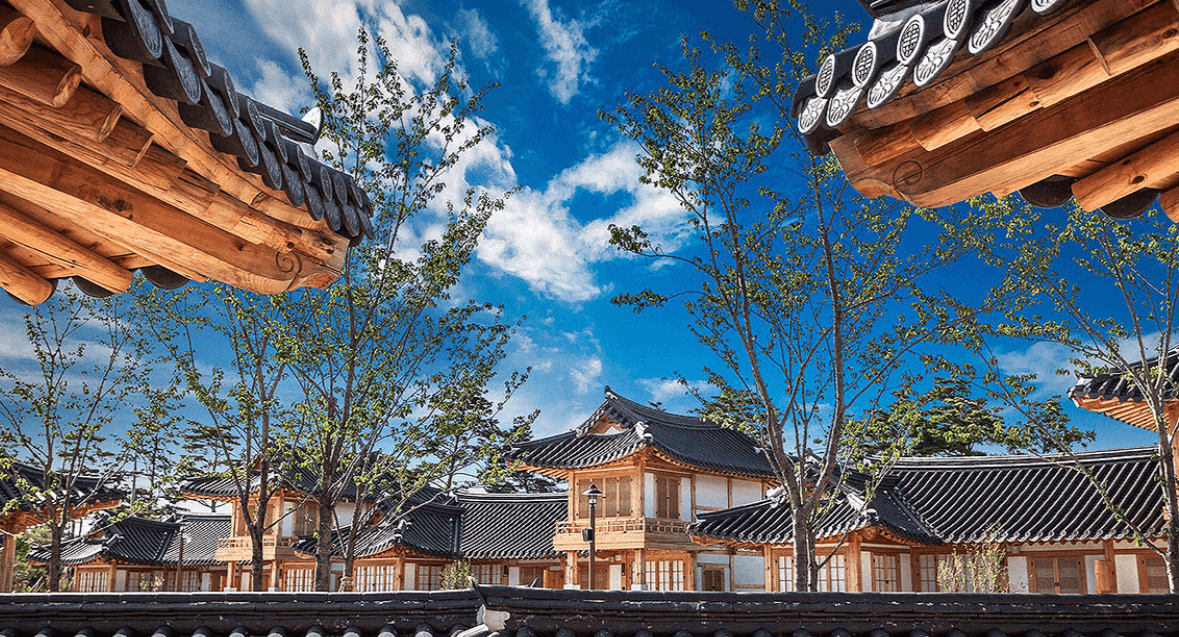 처음 가도 걱정 없는 강릉 여행 동선&코스 총정리 관련사진