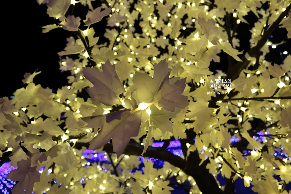 2022 제 9회 해운대 빛축제 빛의 바다 기본정보 위치 시간