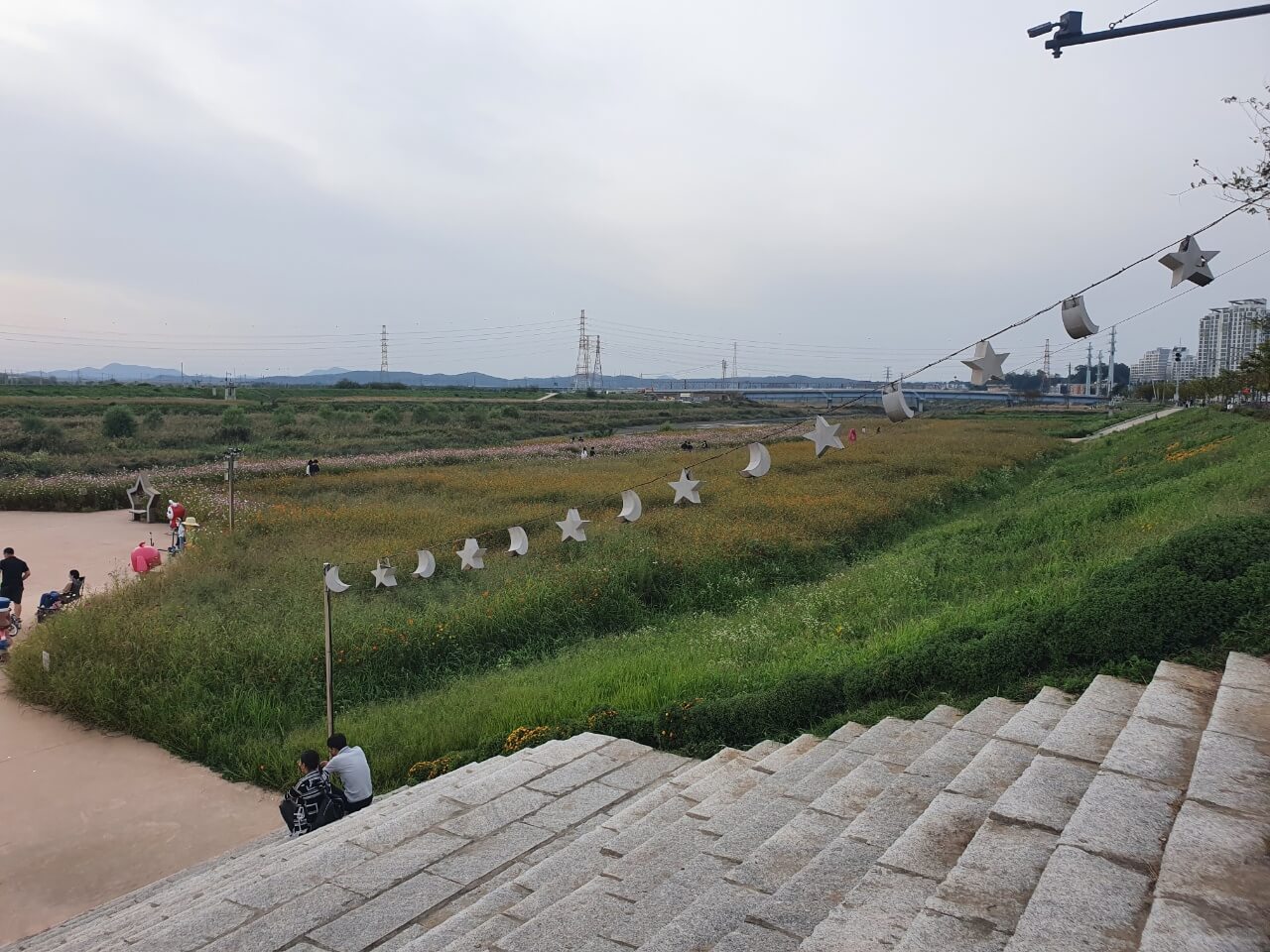 코스모스산책길-내려가는계단