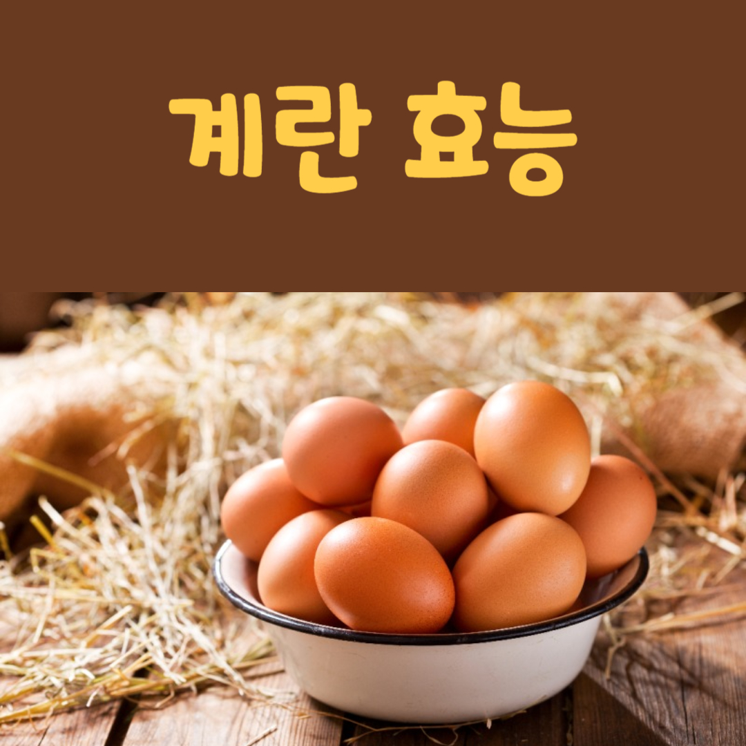계란 효능 부작용