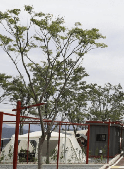 신불산 베이스캠프