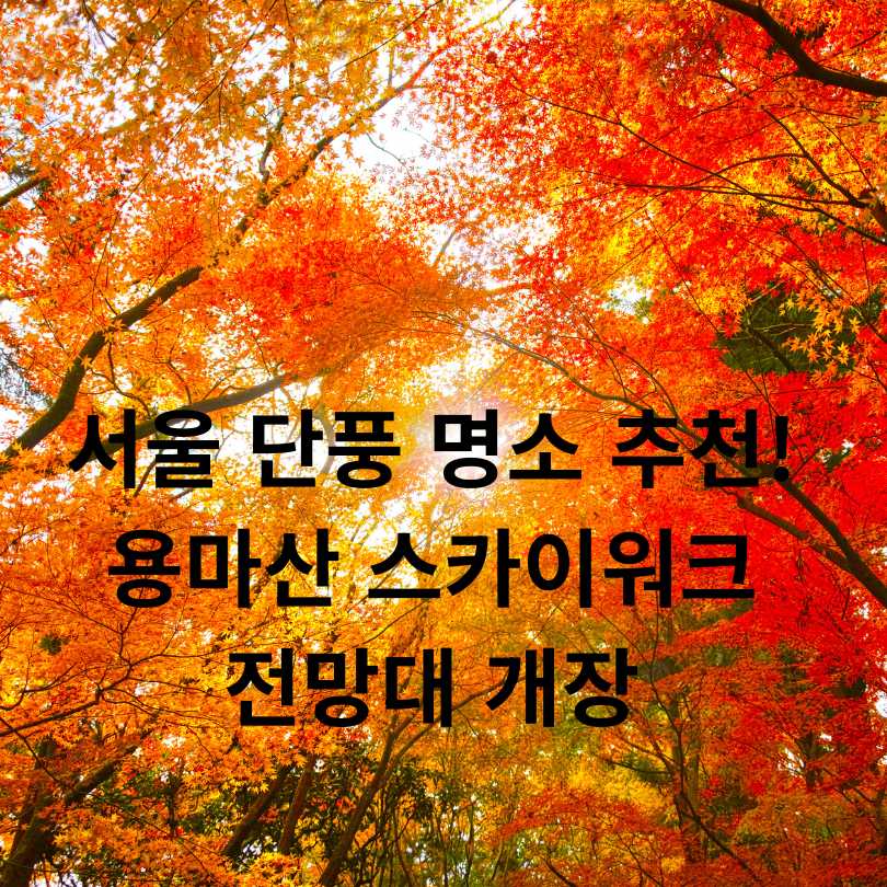 서울 단풍 명소 추천! 용마산 스카이워크 전망대 개장 소식