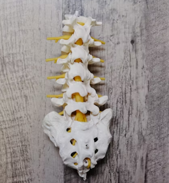 골다공증에 좋은 음식 예방 식단