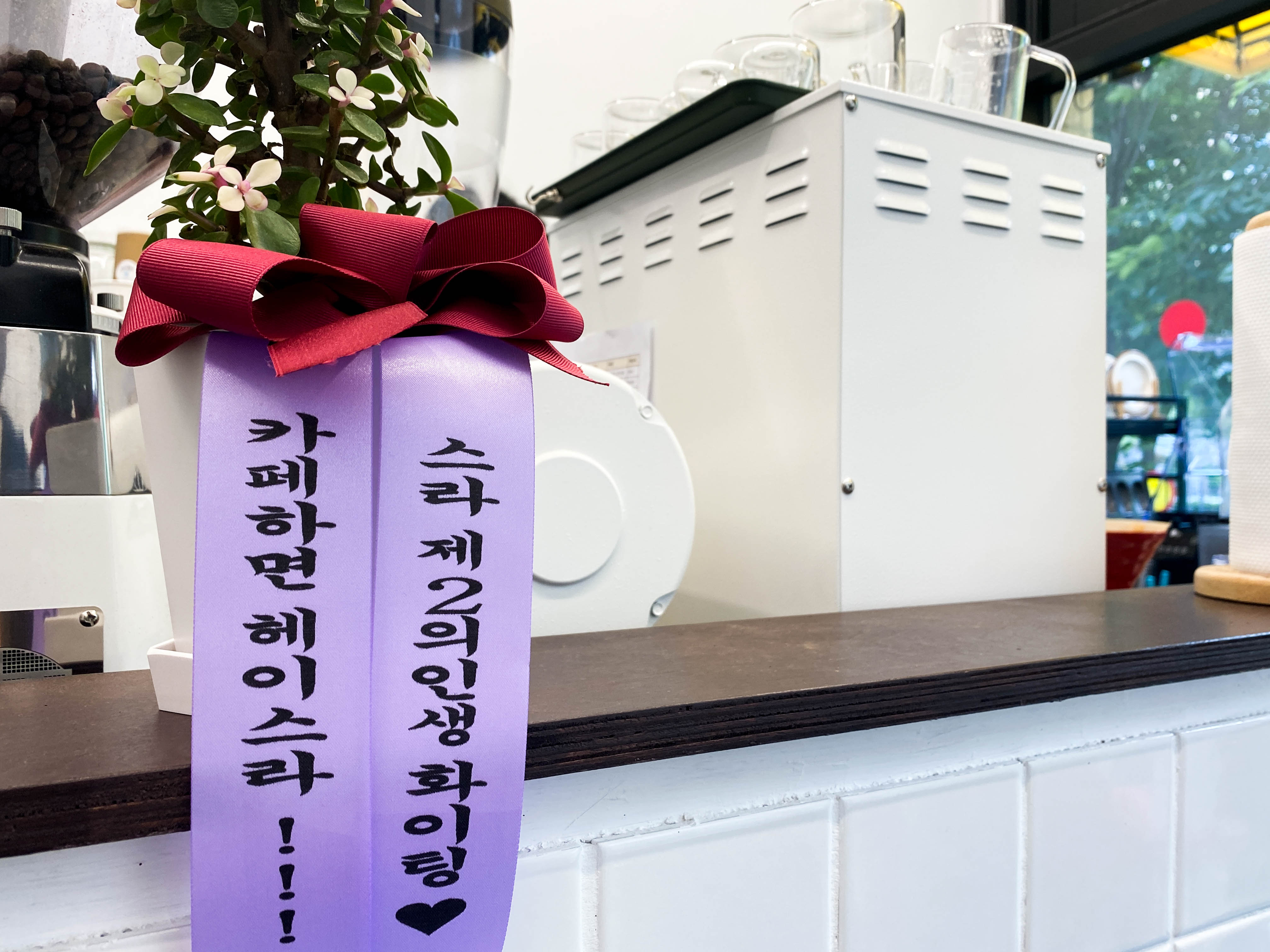 헤이스라 마산 카페