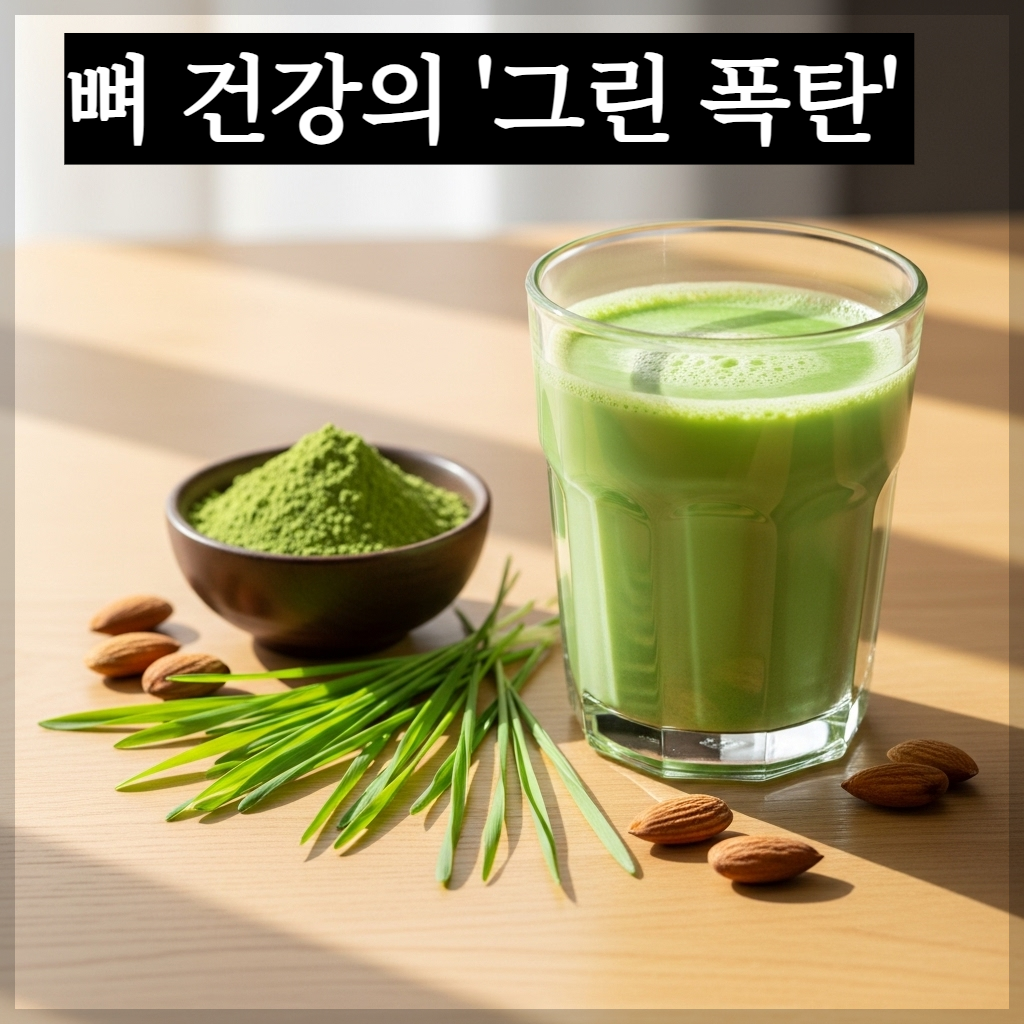 뼈 건강에 도움을 주는 신선한 새싹보리와 영양 가득한 그린 밀크(새싹보리 우유) 이미지