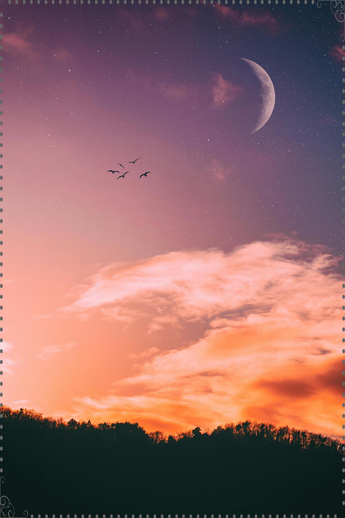 🌌 2025년 쌍둥이자리 운세부터 오늘의 운세까지, 별자리와 꿈 해몽 가이드