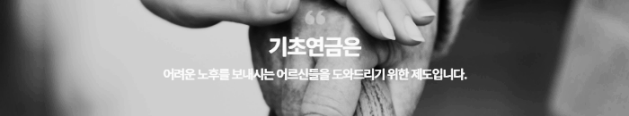 노령연금 = 기초연금