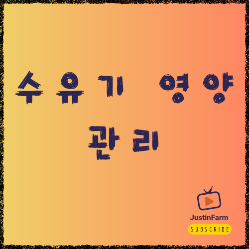 모유수유 중 음식 섭취 가이드: 엄마와 아기를 위한 식단 원칙
