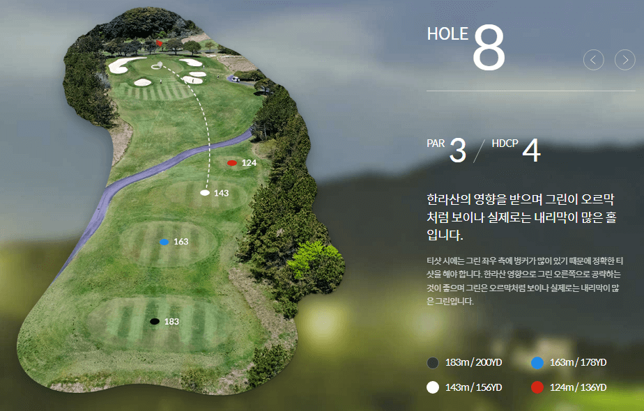 롯데스카이힐제주 컨트리클럽 스카이코스 8