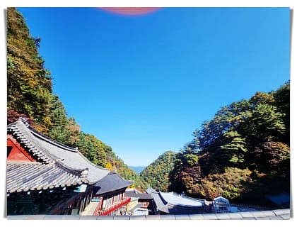구인사 21