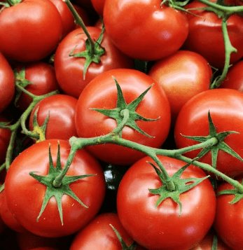 피부 탄력에 좋은 음식 - 토마토