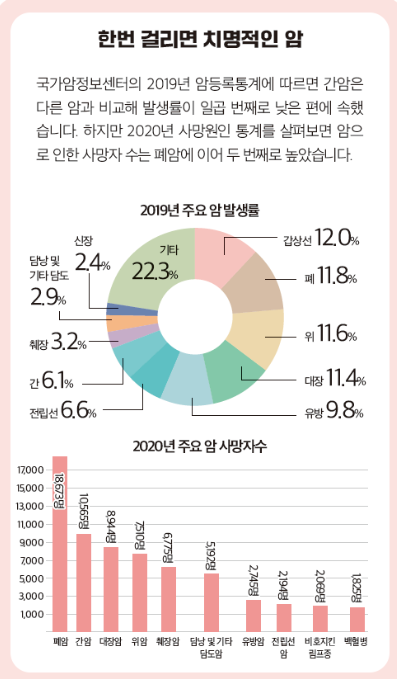 암종별 발생 현황 데이터