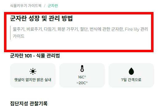 군자란 관리법 알아보기