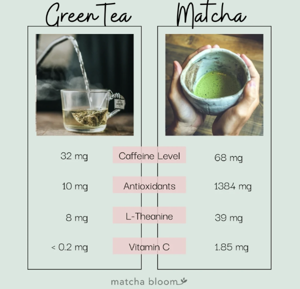 말차와 녹차 효능 차이