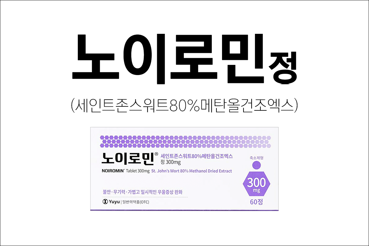 노이로민정(Noiromin Tab. 300mg)