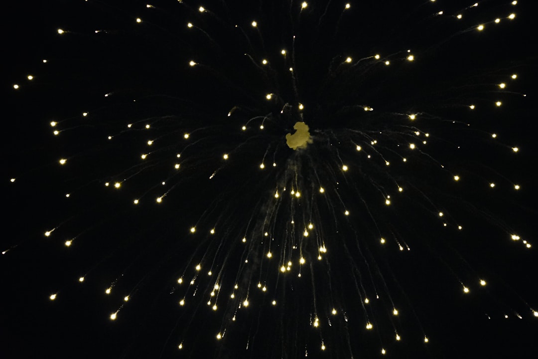 Light Festival