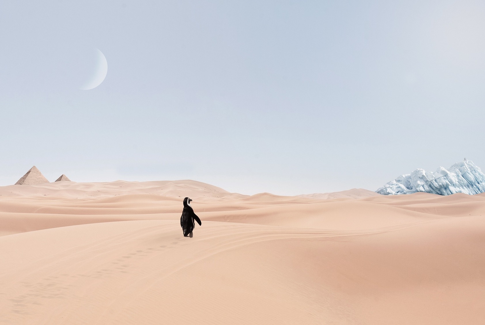 기후 위기는 왜 ‘의료·복지 재정’을 먼저 무너뜨리는가!