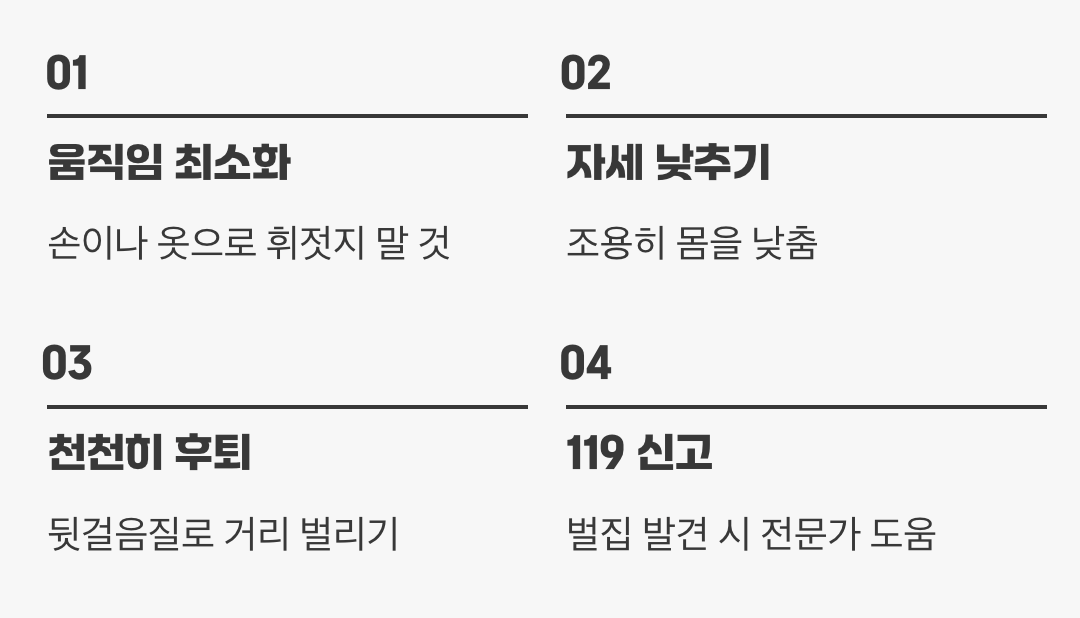 마주쳤을 때의 현명한 대처법