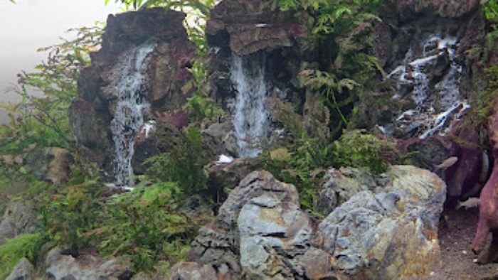 화담숲 예약 팁 & 피크 시즌 방문 요령 총정리