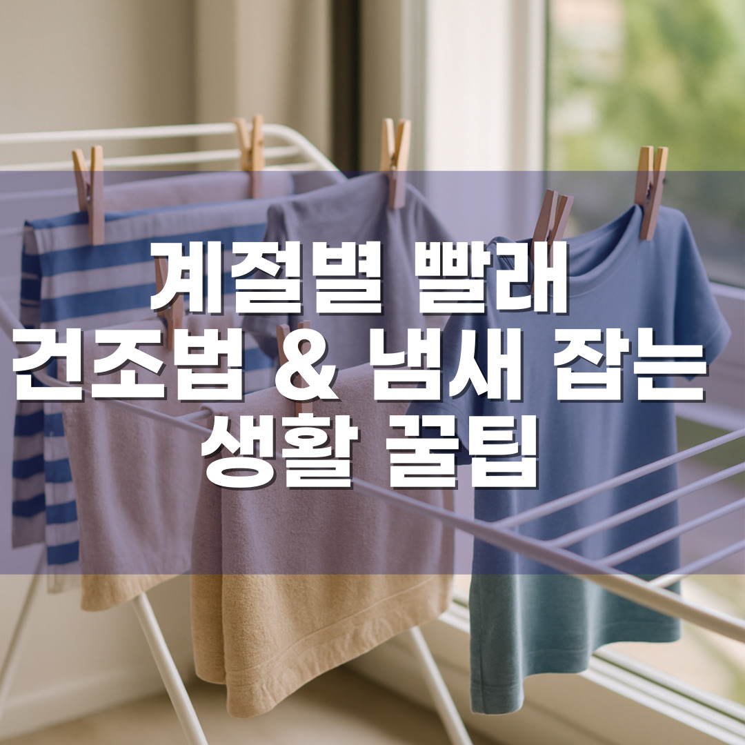 계절별 빨래 건조법 & 냄새 잡는 생활 꿀팁