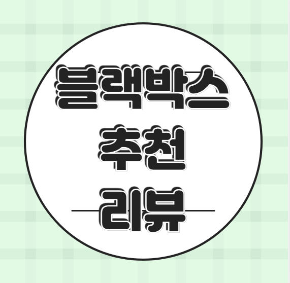 블랙박스 추천 리뷰