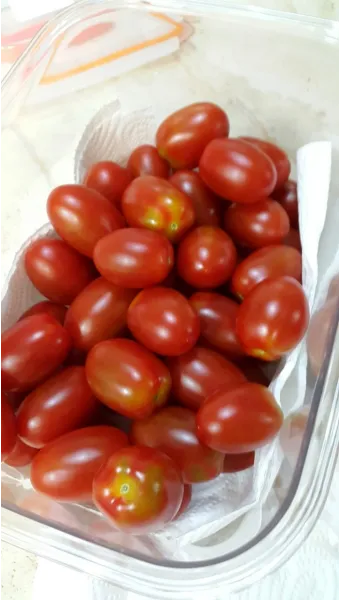 2주 이상 방울토마토 보관 시 꿀팁 오래 보관_22