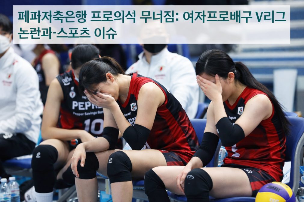 패패저축은행 프로배구 논란, 이것만 알면 끝