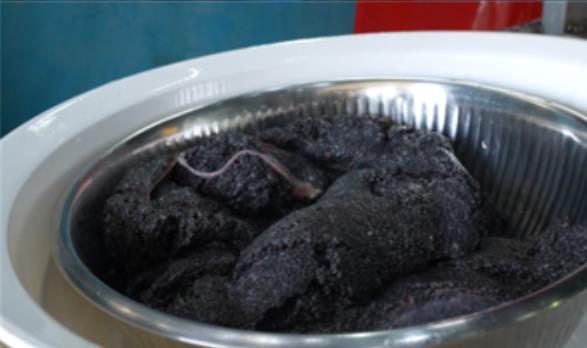 극한직업 철갑상어 치어