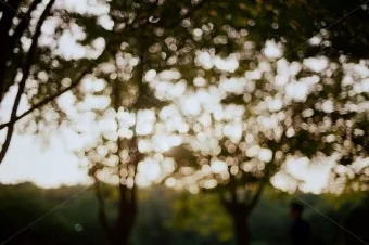 아웃포커스 사진 피사체 분리 배경 처리 색감 조절_6