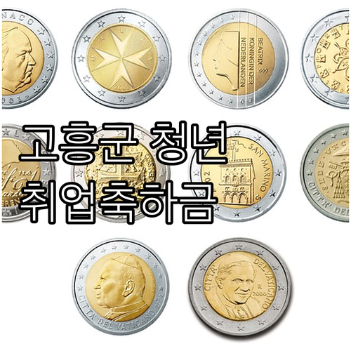 고흥군 청년 취업자를 위한 2025 ..