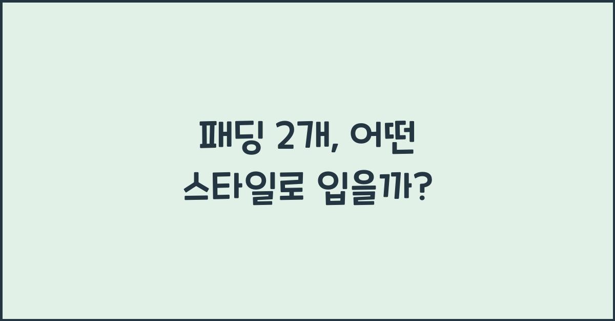 패딩 2개