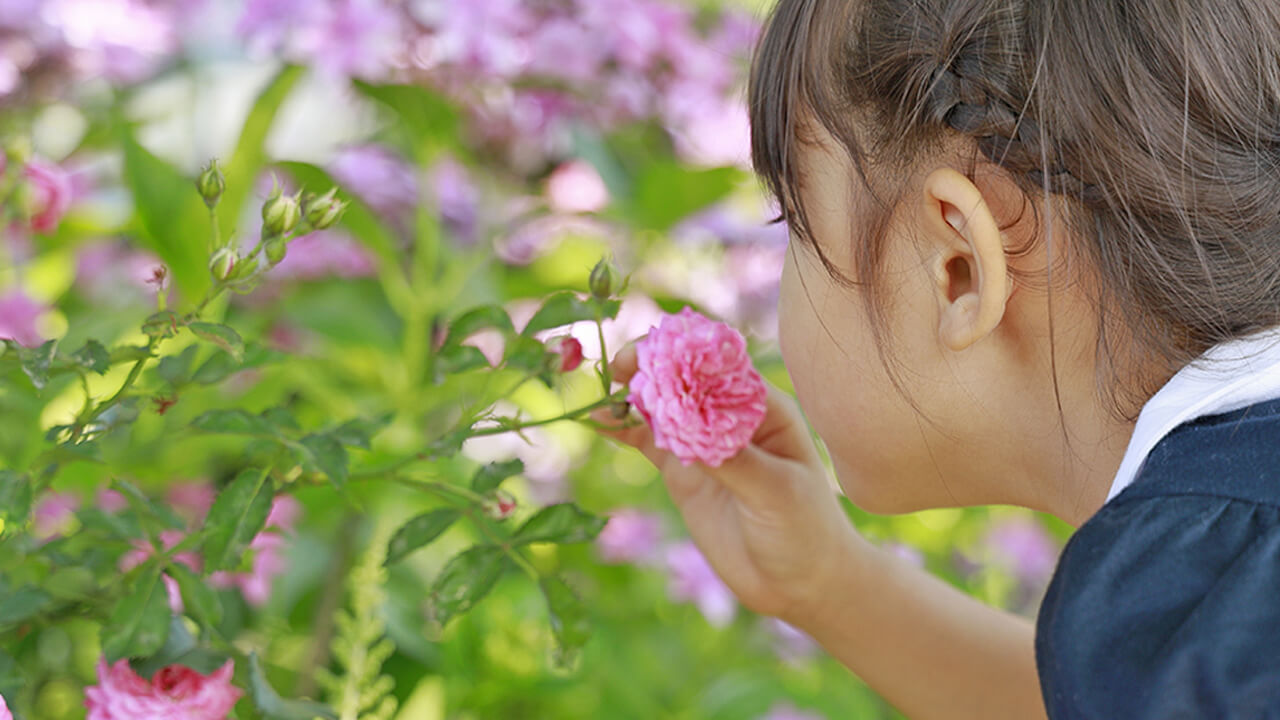 향기롭고 뽀송뽀송한 수건