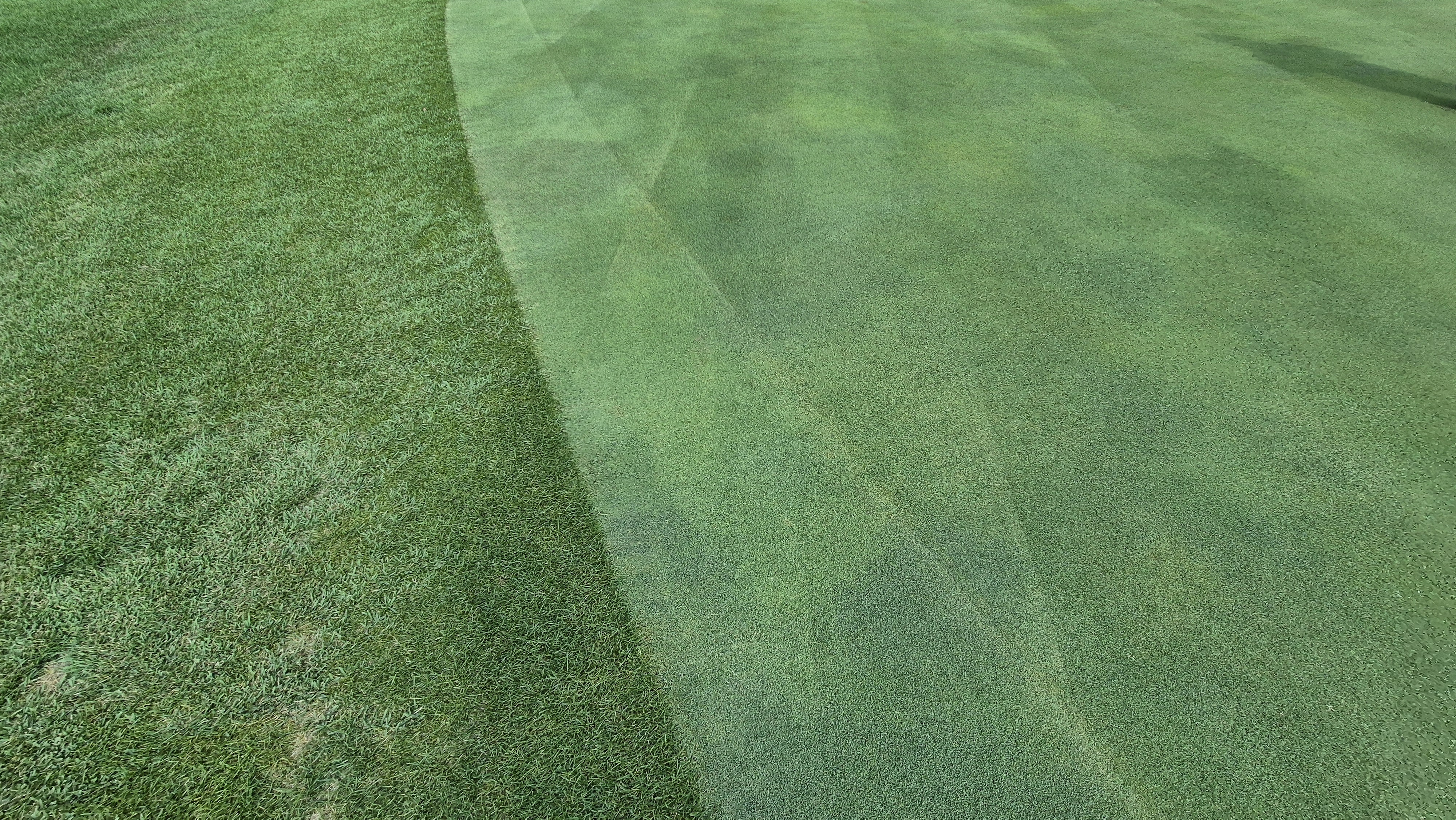 태광cc 북-서 코스 라운드 후기